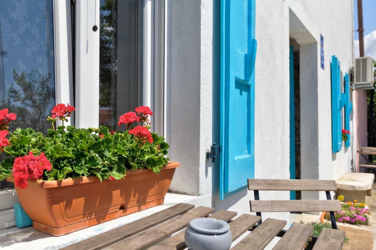 Apartmani Anna Umag Exteriör bild